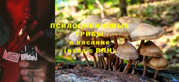 СК Алексеевка