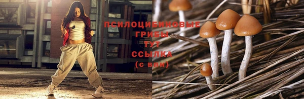 СК Алексеевка